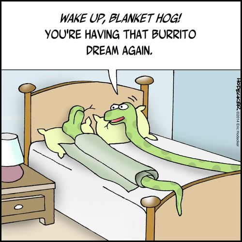"Wake up, blanket hog! You're having that burrito dream again!"