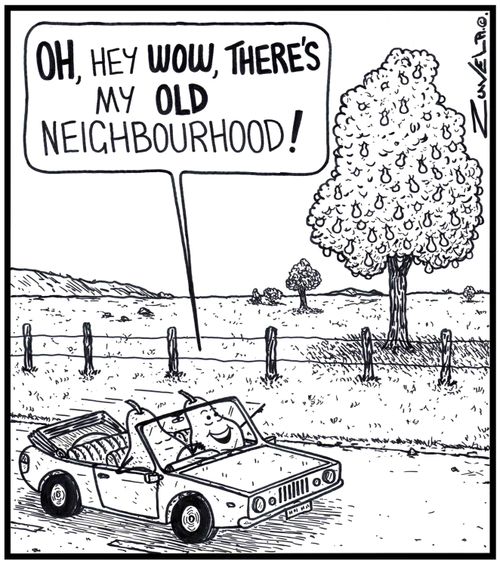 Pear: 'OH, hey WOW, there's my old Neighbourhood!