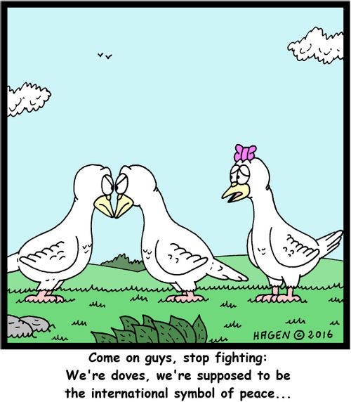 "Come on guys, stop fighting: We're doves, we're supposed to be the international symbol of peace..."
