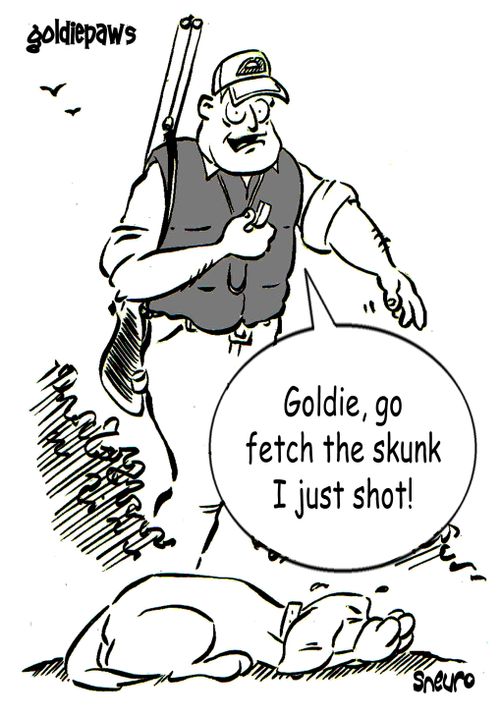 Goldie, go fetch the skunk I just shot!