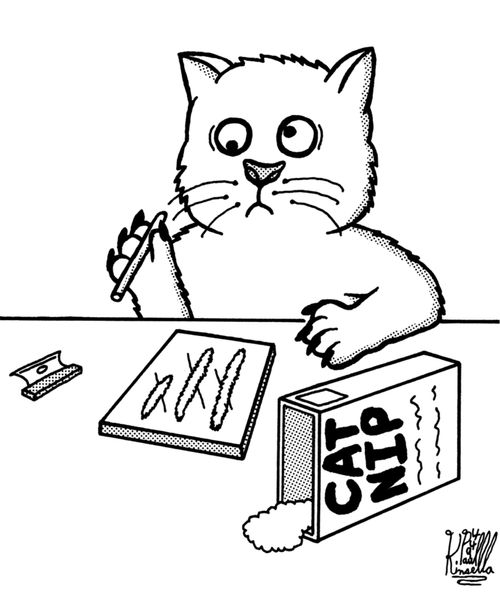 Cat Taking Cat Nip Drugs.