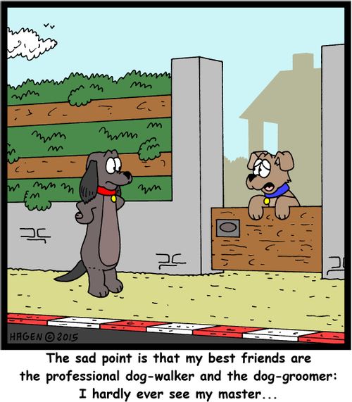 "The sad point is that my best friends are the professional dog-walker and the dog-groomer: I hardly ever see my master..."