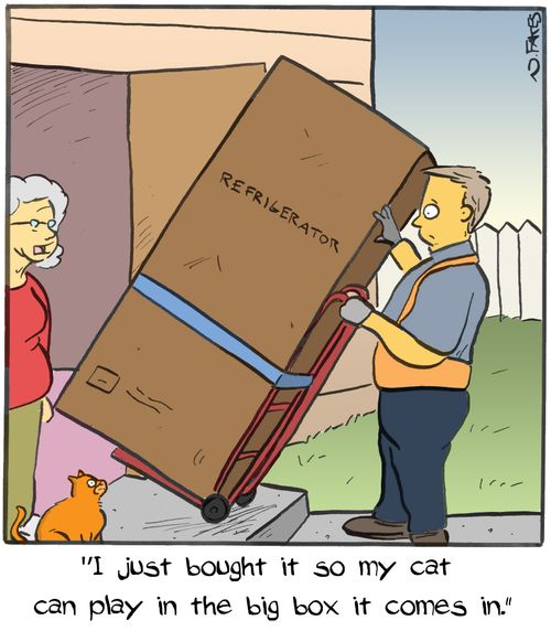 "I just bought it so my cat can play in the big box it comes in."