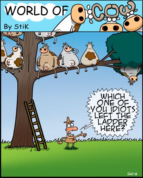 "Which one of you idiots left the ladder here?"