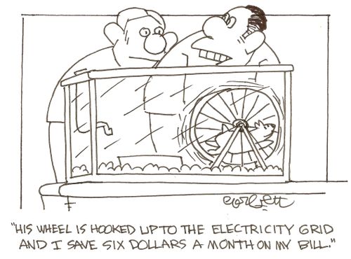 'His wheel is hooked up to the electricity grid and I save six dollars a month on my bill.'