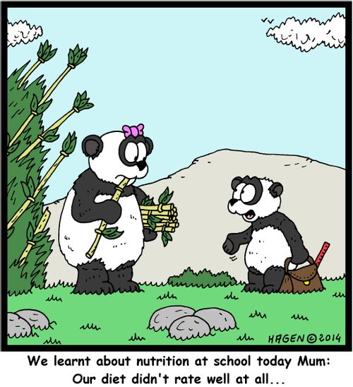 "We learnt about nutrition at school today Mum: Our diet didn't rate well at all..."