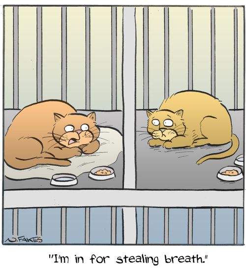 "I'm in for stealing breath."