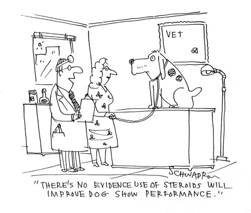 'There's no evidence use of steroids will improve dog show performance.'