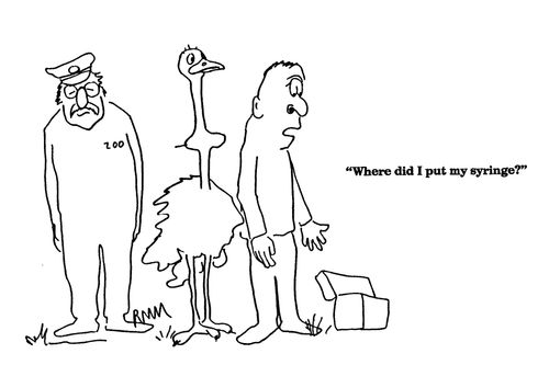 'Where did I put my syringe?'
