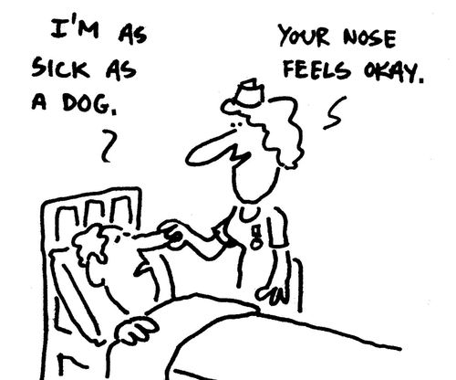 'I'm as sick as a dog,'