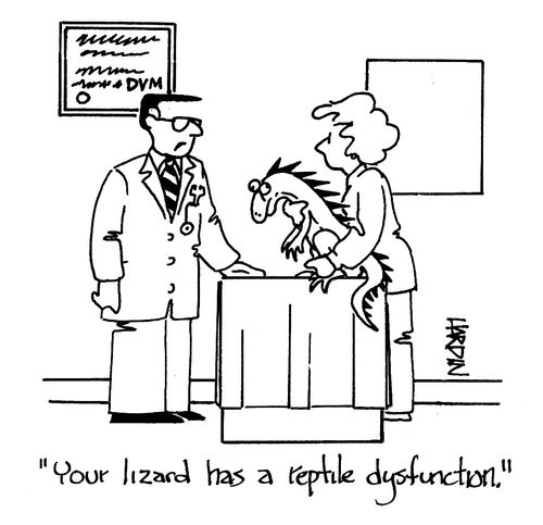'Your lizard has a reptile dysfunction.'