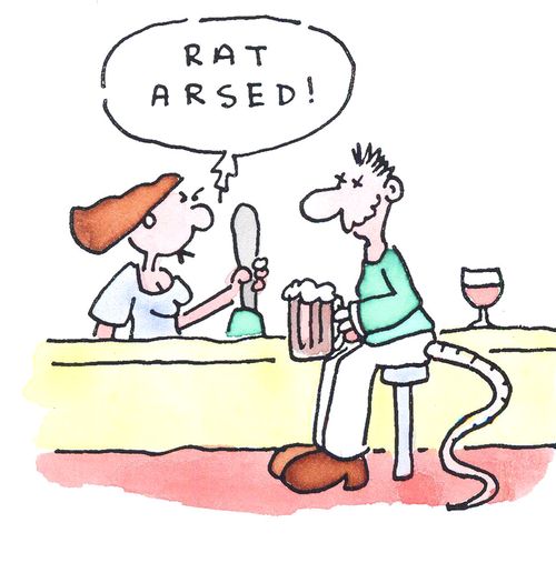 'Rat arsed.'