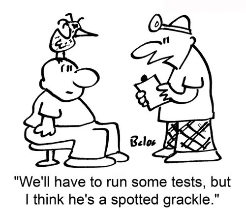 'We'll have to run some tests, but I think he's a spotted grackle.'