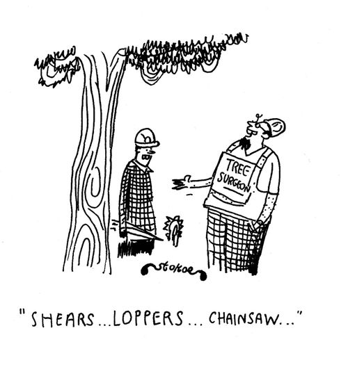 'Shears...loppers...chainsaw...'