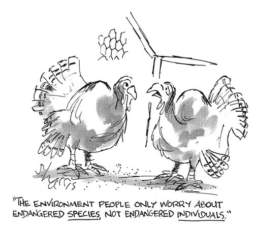 "The environment people only worry about endangered species, not endangered individuals."