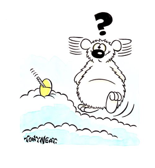 'Mystery egg.'