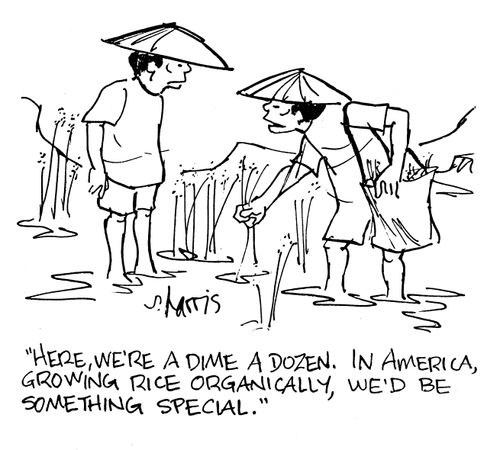 Here, we're a dime a dozen. In America, growing rice organically, we'd be something special.