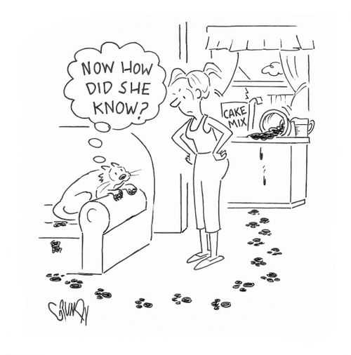 "Now how did she know?"