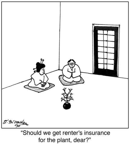  'Should we get renter's insurance for the plant, dear?'