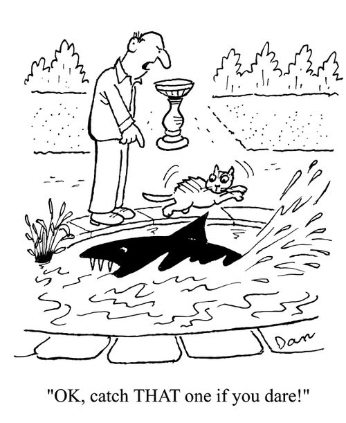 'OK, catch that one if you dare!'