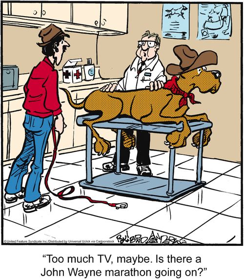 'Too much TV, maybe. Is there a John Wane marathon going on?'
