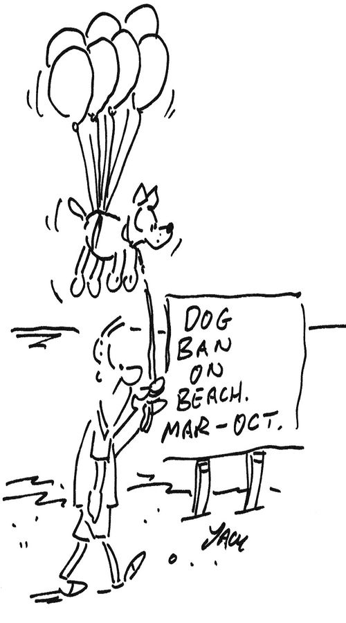 Dog Ban On Beach. Mar-Oct.