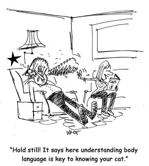 "Hold still! It says here understanding body language is key to knowing your cat."