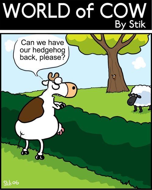 Can we have our hedgehog back please?(Hedgehog is stuck to the tree)