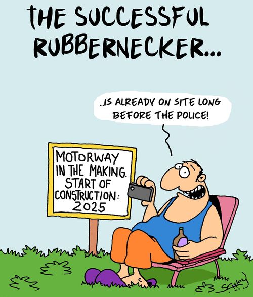 The successful rubbernecker...