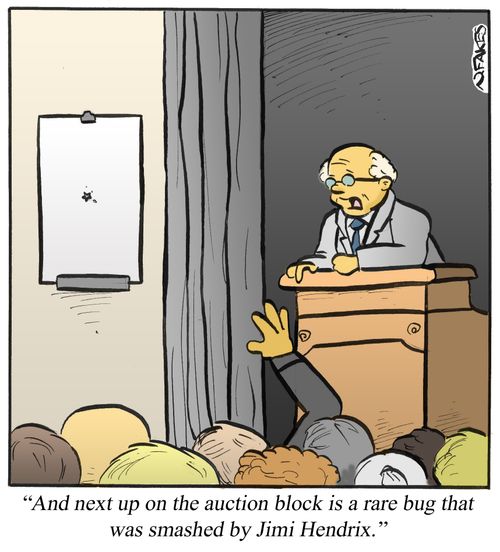 'And next up on the auction block is a rare bug that was smashed by Jumi Hendrix.'
