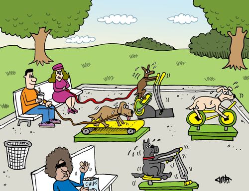 People with pet dogs in a dog park with workout equipment for dogs.