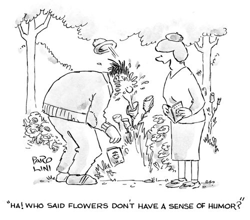 'Ha! Who said flowers don't have a sense of humour?'