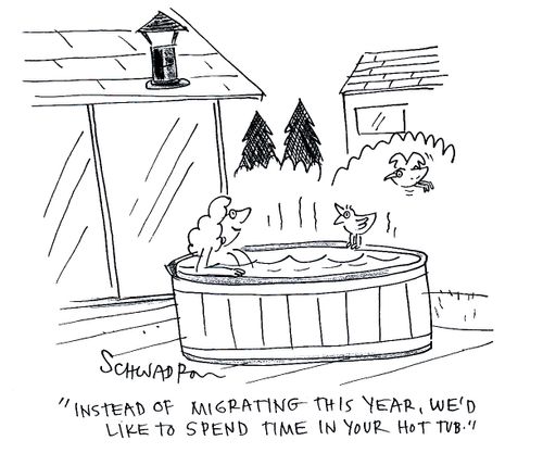 'Instead of migrating this year, we'd like to spend time in your hot tub.'