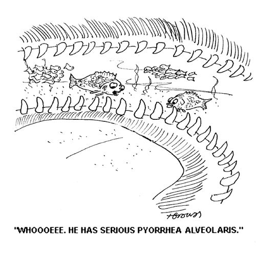'Whoooeee. He has serious pyorrhea alveolaris.'