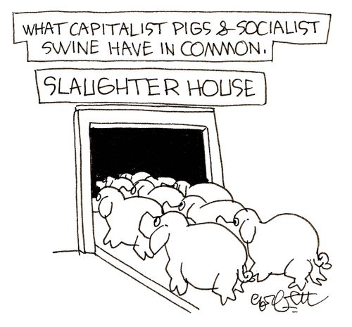 'What capitalist pigs and socialist swine have in common.'