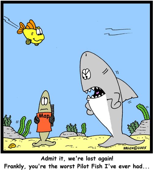 'Admit it, we're lost again! Frankly, you're the worst Pilot Fish I've ever had...'