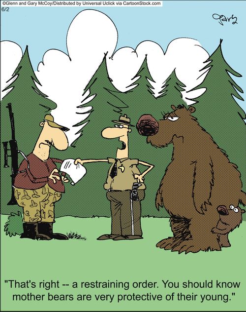'That's right - a restraining order. You should know mother bears are very protective of their young.'