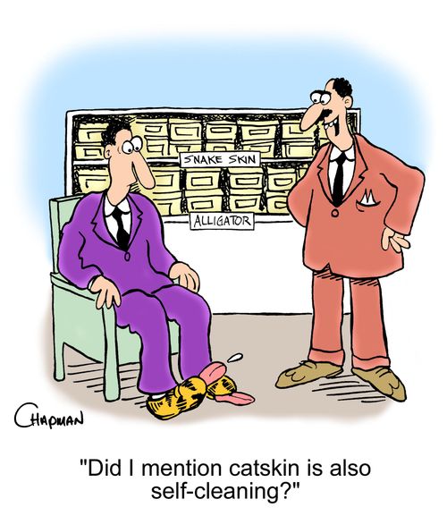 'Did I mention catskin is also self-cleaning?'