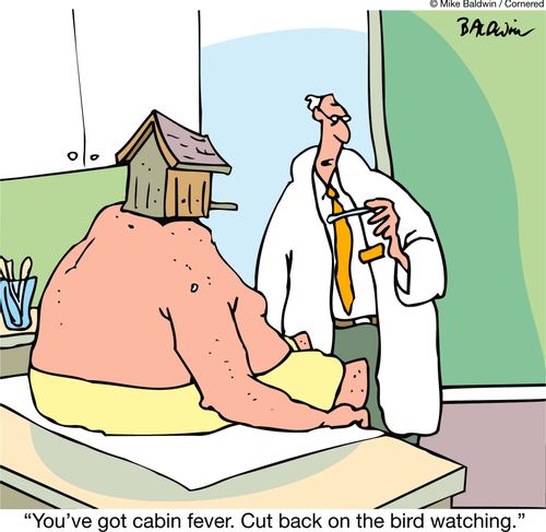"You've got cabin fever. Cut back on the bird watching."