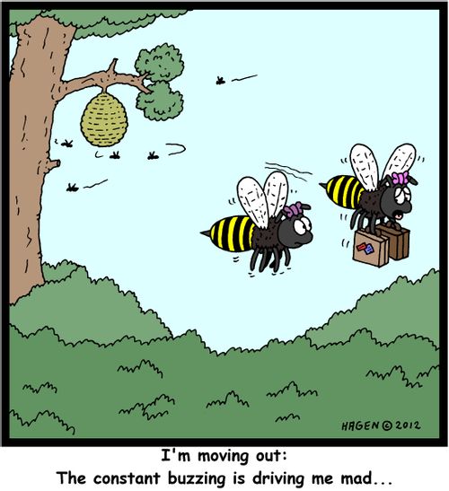 'I'm moving out: The constant buzzing is driving me mad...'