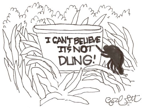 'I Can't Believe It's NOT Dung!'