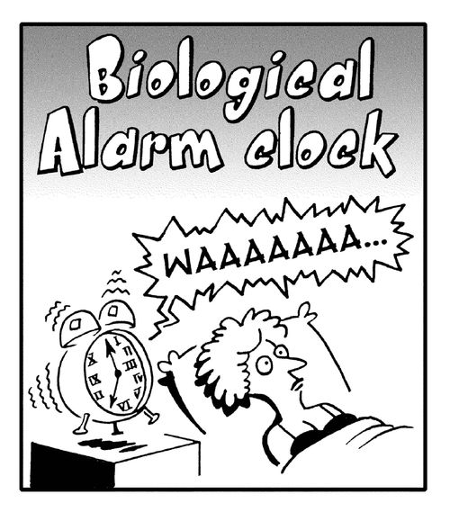 Biological Alarm Clock.