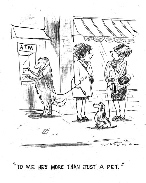 'To me he's more than just a pet.'
