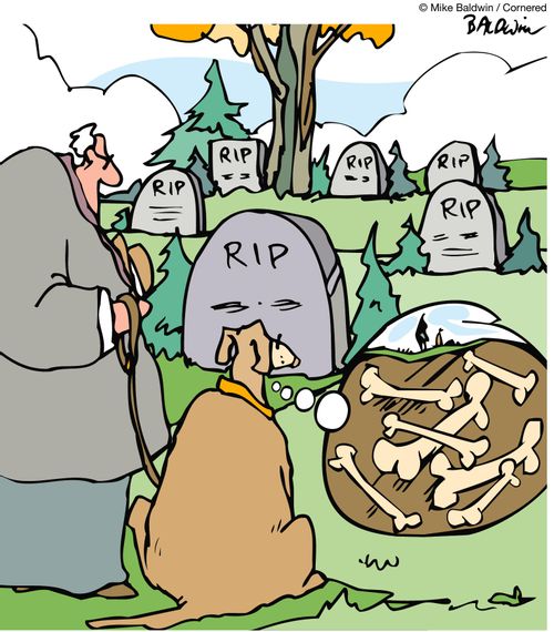 Grave yard bones.