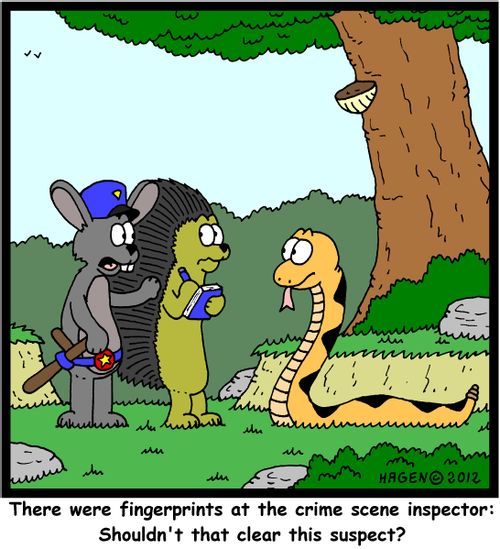 'There were fingerprints at the crime scene inspector: Shouldn't that clear this suspect?'