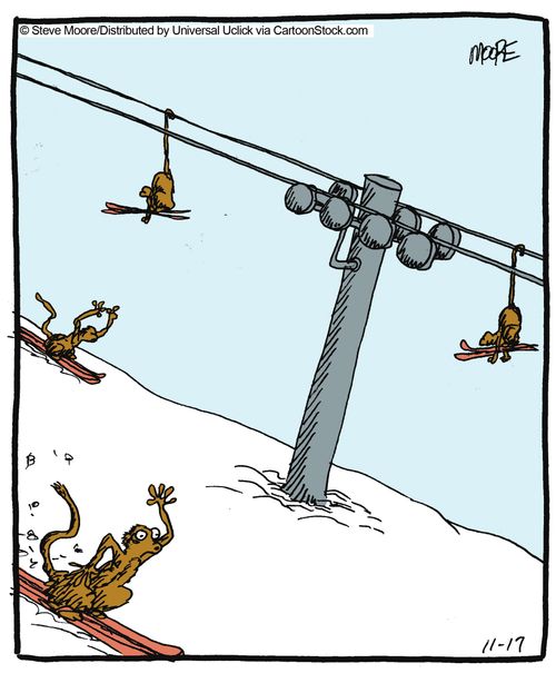 Possums that ski.