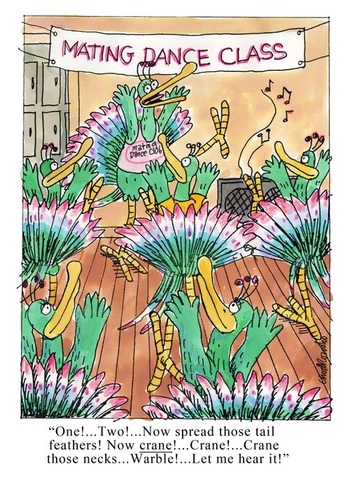 "One!...Two!...Now spread those tail feathers..."