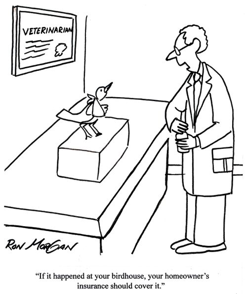 'If it happened at your birdhouse, your homeowner's insurance should cover it.'
