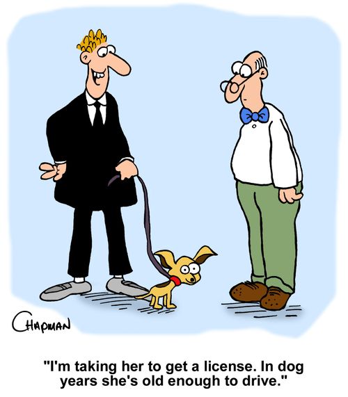 "I'm taking her to get a license. In dog years she's old enough to drive."