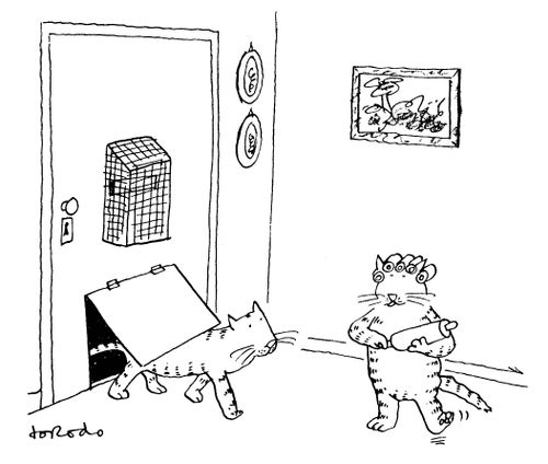Mrs Cat waiting for Mr Cat coming home late.